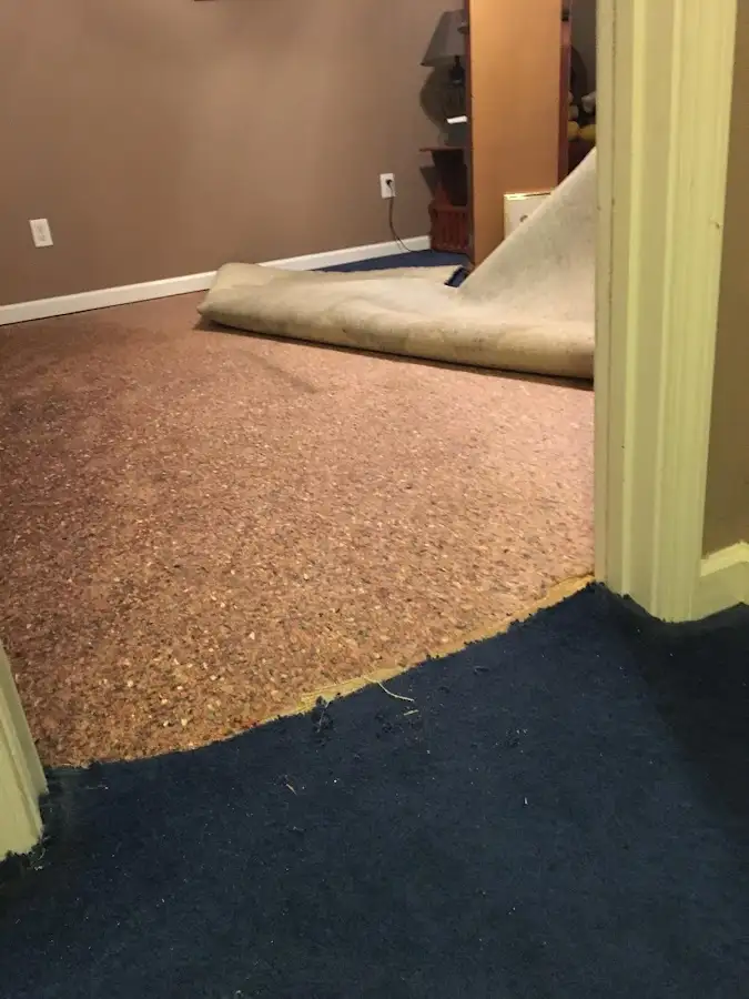 Carpet pad removal revealing water damage during Water Mitigation Services in Colonie