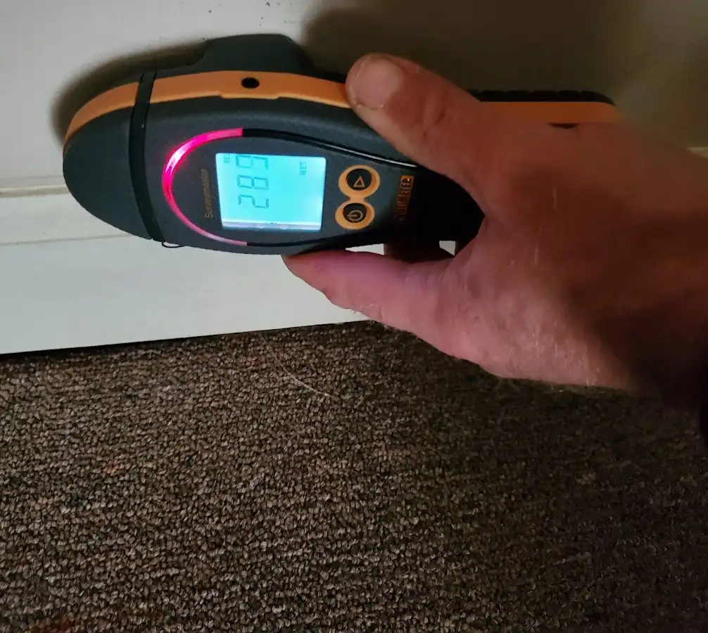 Moisture detection at baseboard during Sewage Cleanup & Sanitation in Colonie